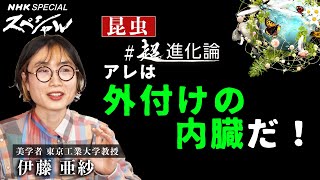 [NHKスペシャル] 美学者 伊藤亜紗は「昆虫は居場所づくりの天才」と語る | 超進化論 | NHK