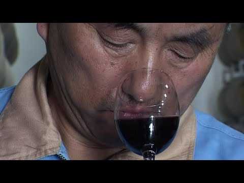 Vidéo: 7 vignobles pour profiter du meilleur vin en Inde