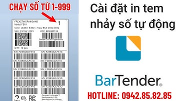 HƯỚNG DẪN  cài nhảy số tự động trong Bartender không cần liên kết excel