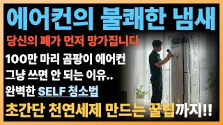 곰팡이 에어컨 셀프청소법 (초간단 천연세제)