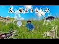 【大量】この季節の昆虫採集は河川敷がアツい！！！！！！
