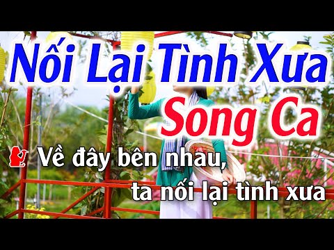 Video Nối Lại Tình Xưa Karaoke Song Ca ( Dm ) Beat Phối Mới... - youtube