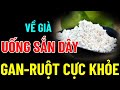 BÁC SĨ MÁCH BẠN &quot;VỀ GIÀ UỐNG SẮN DÂY&quot; RUỘT CỰC KHỎE,  SẠCH GAN KHỎE THẬN, ngủ ngon tới sáng