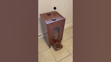 Automatic Dog Feeder with Lever #Shorts