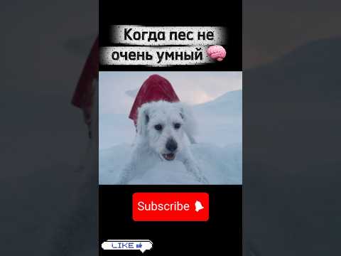 #shorts #фильм #кино #фильмыкоторыестоитпосмотреть #фильмы #superman