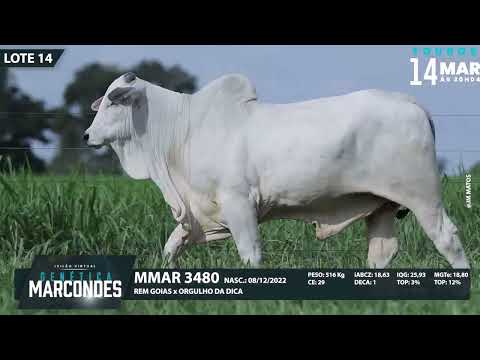 LOTE 14   MMAR 3480