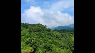 119-上主的平安就在其中(上)W200_1150812-1