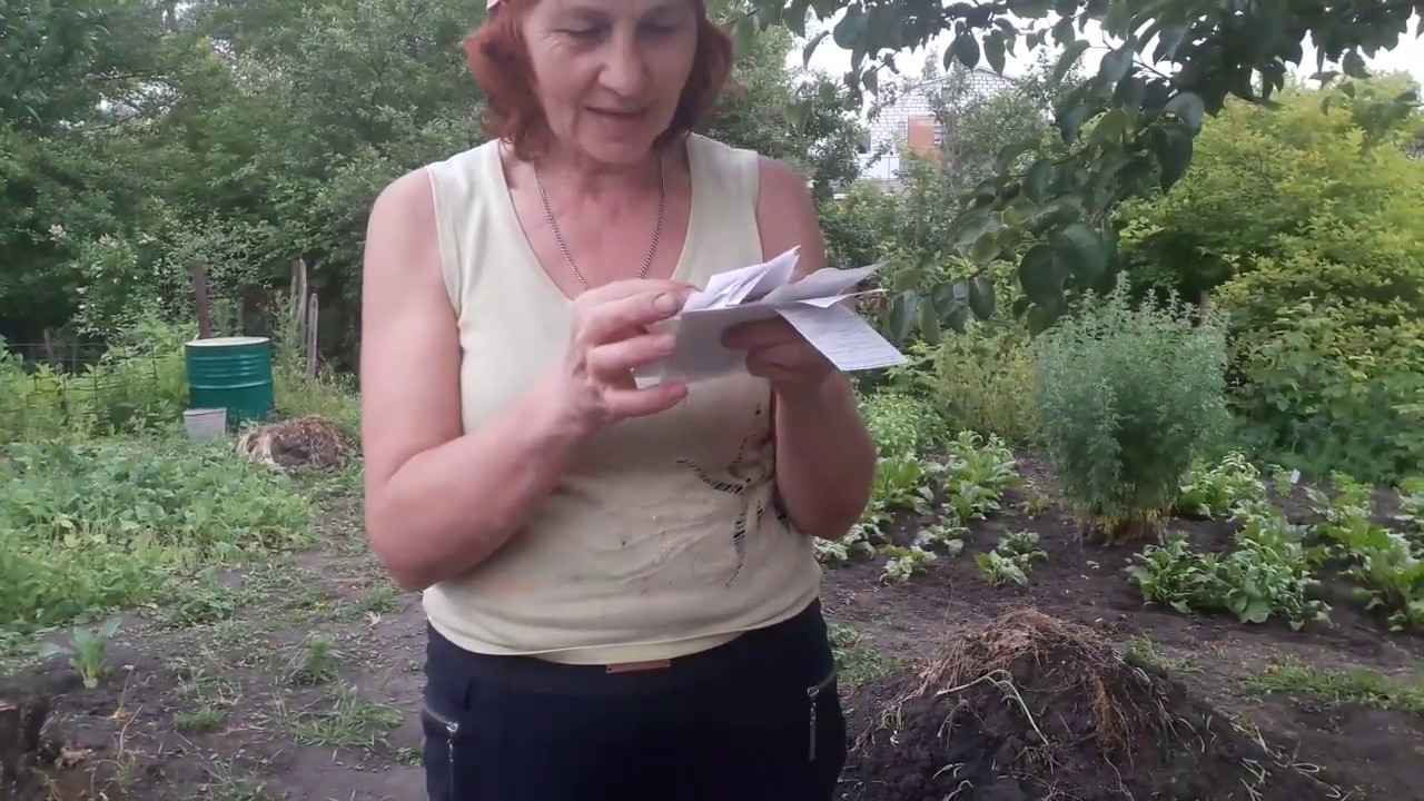 Сколько стоит огород - YouTube