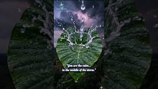 Peace in the storm: Day 14/30 #grahilminimal #digitalminimalism #relaxing