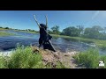 Jabu's first swim in the Okavango Delta 2020 Flood Waters | Living With Elephants Foundation