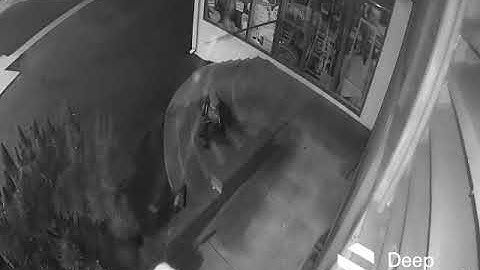 STOPPED by Deep Sentinel #16: Live Guards Prevent Break-Ins at Local Businesses