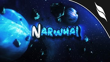 Narwhal Squad OFFICIAL Premium 2D Intro/Outro v2