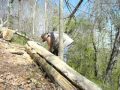DYI lumber how to split a tree. DYI lumber how to split a tree.