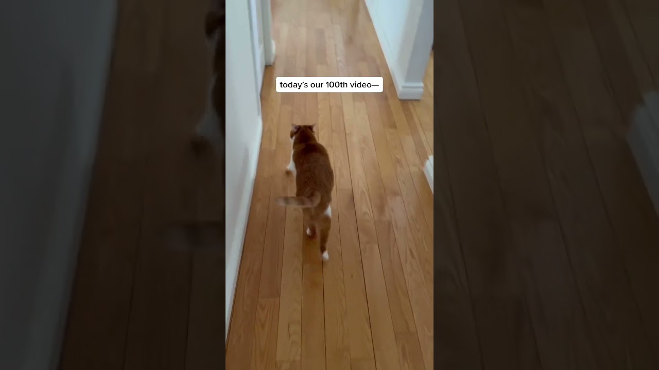 Waking up with Bean - Day 1,323