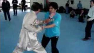 Shaolin Combat Application - Single Tiger Emerges from Cave - Sequence 8
