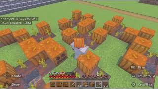 Minecraft_20260726201731   💥These pumpkins have a face 💥