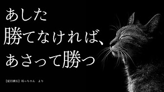 文学解説 夏目漱石 Youtube 文学解説 夏目漱石 Youtube