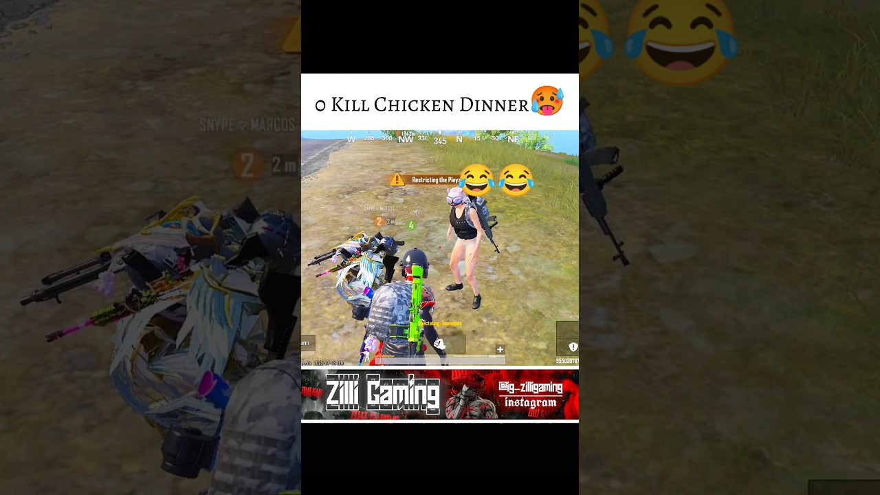 0 Kill Chicken Dinner🥵 