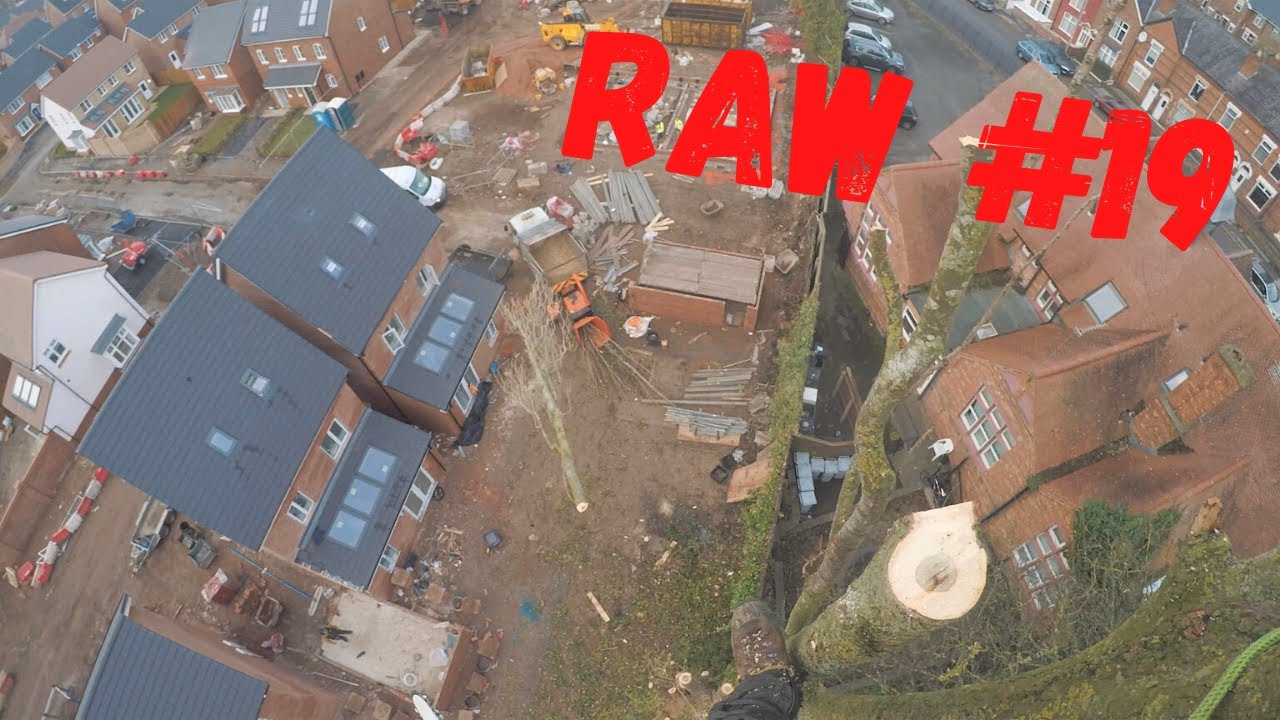 (Raw) UK Climbing Arborist Topping Lombardy Poplar