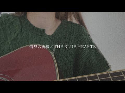 情熱の薔薇／THE BLUE HEARTS【covered by みさき】