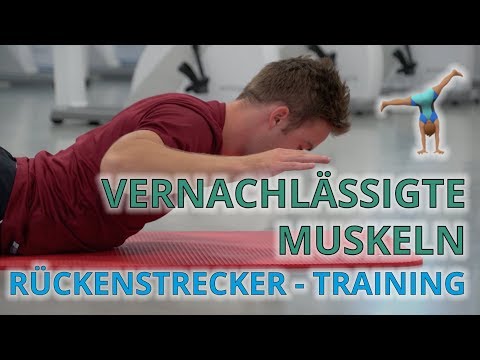 Rückenstrecker | Vernachlässigte Muskulatur | Training