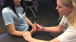 Dallas Chrisman: EXS-335 Demonstration of Skills