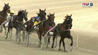 Vidéo de la course PMU PREMI KENT BARBES