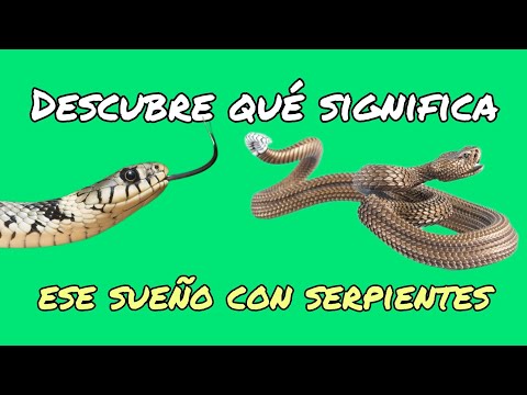 Qué significa soñar