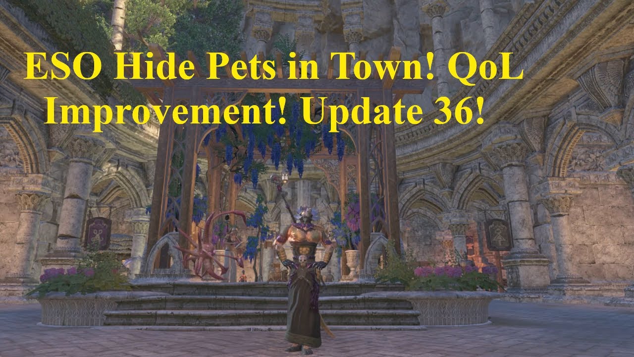 ESO Hide Pets in Towns QoL Improvement Update 36 YouTube