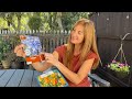 How to plant fall bulbs for full season spring flowers!