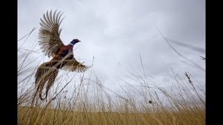 ND Travel Matters to Hunters | Dickinson, ND