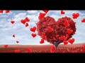 نشيد أقل ما يقال عنه رووووعة قلبي يرف نشيد أقل ما يقال عنه رووووعة قلبي يرف
