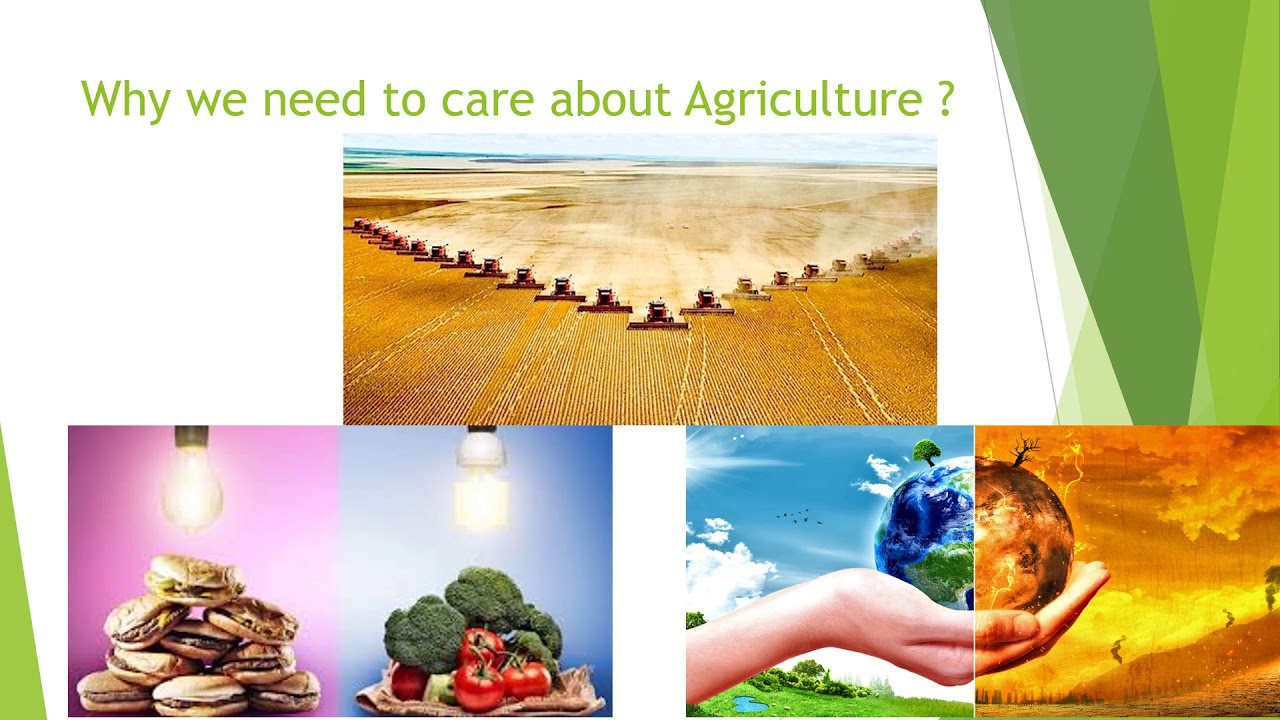 what's wrong with industrial agriculture ? YouTube