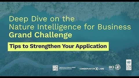 Deep Dive on the Nature Intelligence for Business Grand Challenge: Tips for a Strong Application