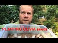 Gardening Help : How to Plant Cycad Seeds - YouTube