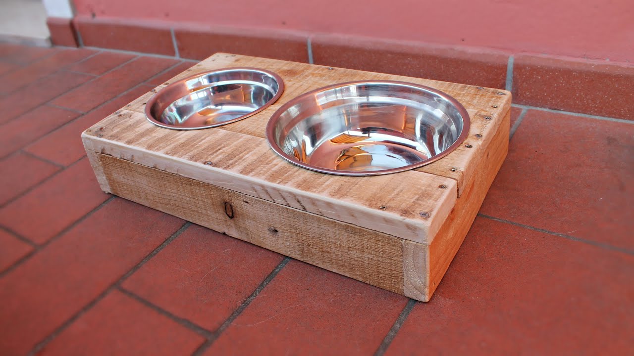 Portaciotole Per Cani E Gatti Riciclo Pallet Fai Da Te Youtube