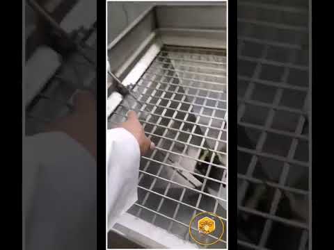 زيت الزيتون البعل من جبال عجلون حدود فلسطين معصور ع البارد تحت اشارافنا وديع للعسل البري ١٤٤٤ه