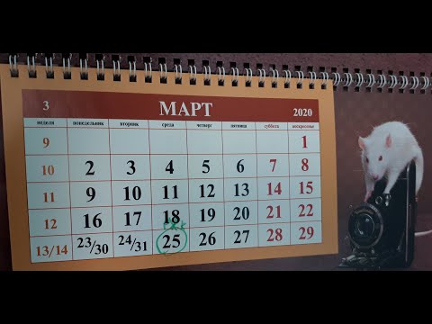 Показываем наших новорождённых