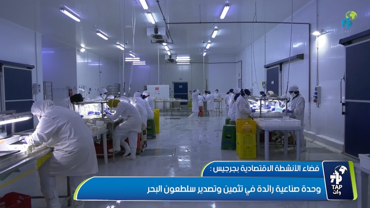 فضاء الأنشطة الاقتصادية بجرجيس-وحدة صناعية رائدة في تثمين وتصدير سلطعون البحر