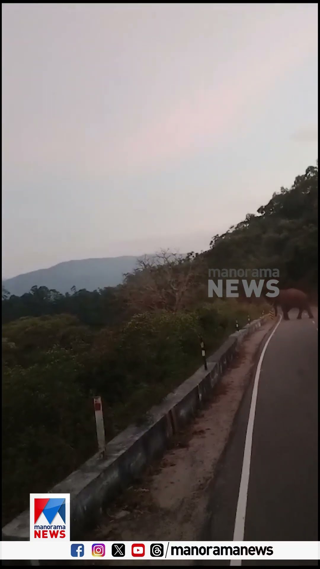 തമിഴ്നാട് വാൽപ്പാറയിൽ കാട്ടാന ആക്രമണം; വിനോദ സഞ്ചാരിയായ വിദേശ പൗരന് ദാരുണാന്ത്യം |Elephant
