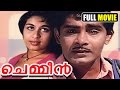 ചെമ്മീൻ | Malayalam Full Movie | Evergreen Romantic
