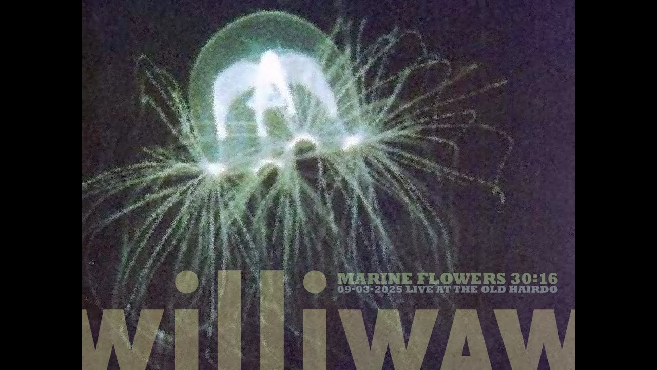 williwaw vs. marine flowers