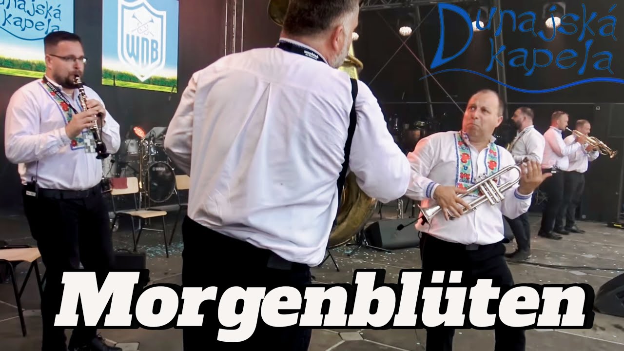 Dunajska Kapela | Morgenblüten | Kmotrenka - Woodstock der Blasmusik 2025