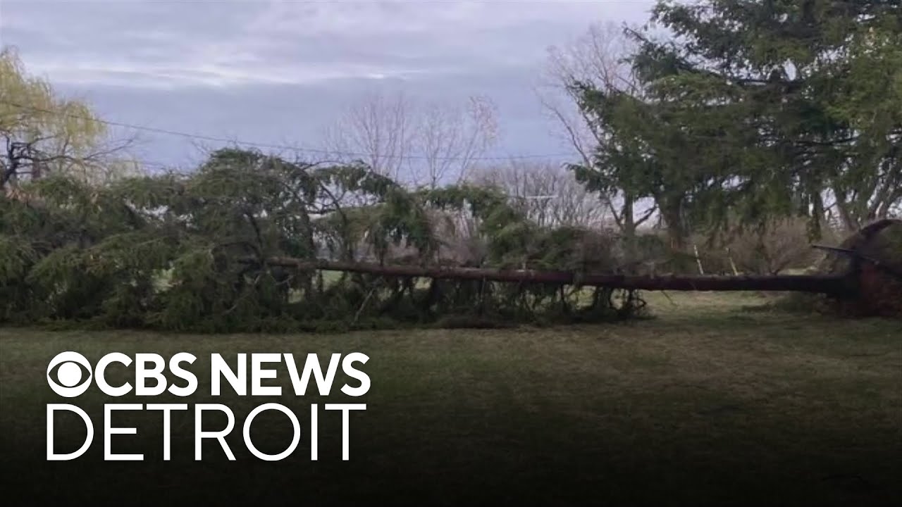 EF-1 tornado touches down in Southeast Michigan - YouTube