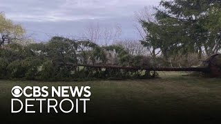 EF-1 tornado touches down in Southeast Michigan