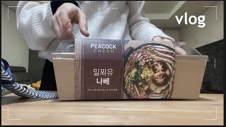 vlog. 일상 브이로그 | 친구집 놀러가기 ( 방구석 노래방 , 밀푀유나베 , 도넛 , 캔디포도 , 김치찜 ••• ) | 이번 편은 지애 vlog