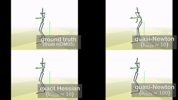 Inverse Kinematics Problems with Exact Hessian Matrices