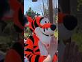 I Sent a Subscriber to Disneyland