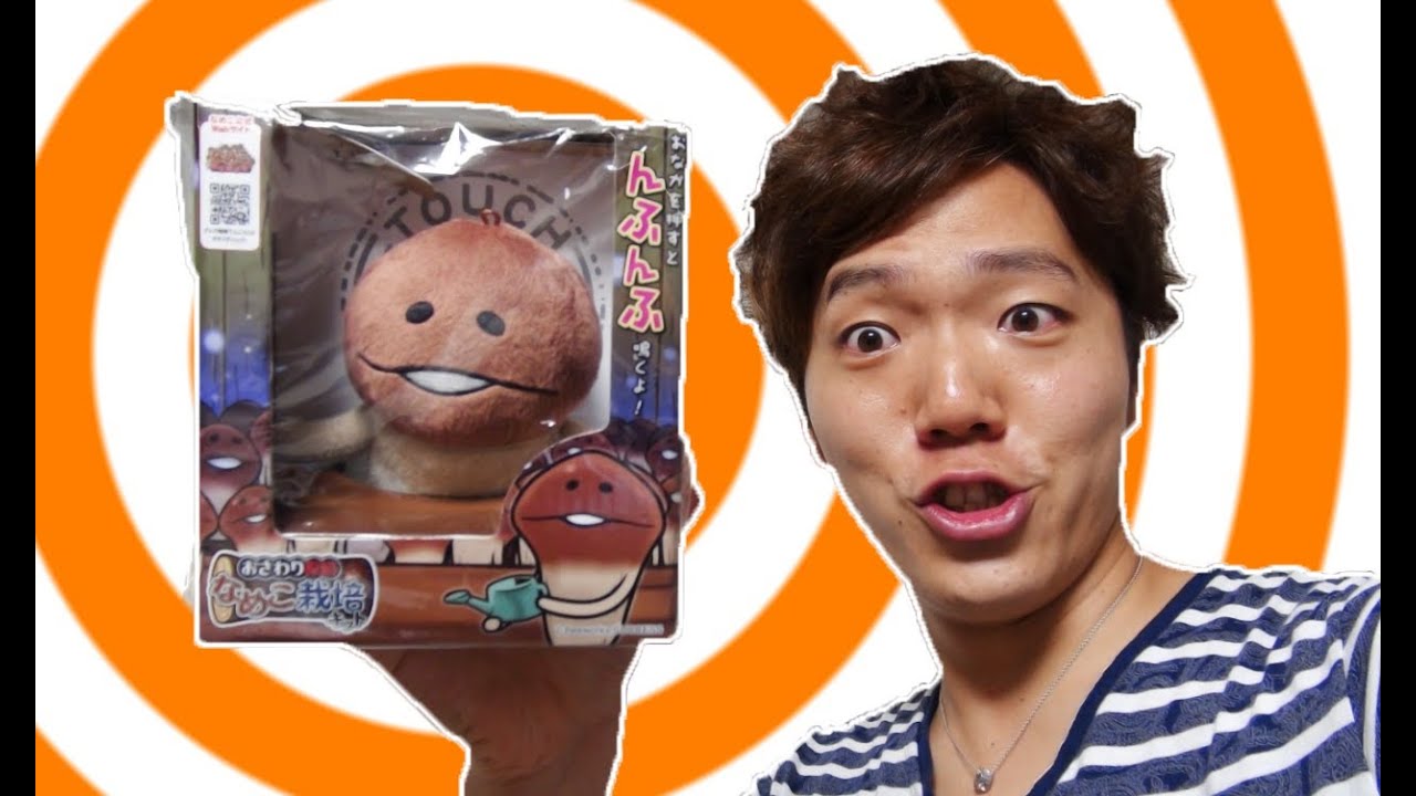 いっぱい なめこのぬいぐるみ I tried making a lot of noise with the Mushroom plush toy