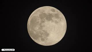 December full moon - The Cold Moon of 2023